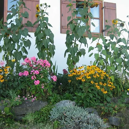 Familienapartment In Lägenhet