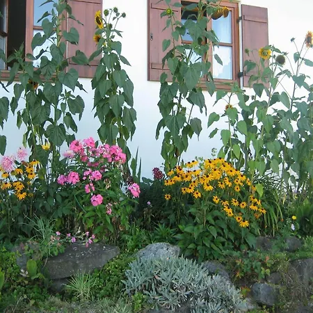 With A View Of The Bavarian Alps Apartment *